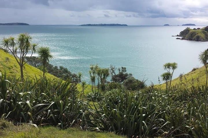 3-Day Waiheke Walking Holiday: Beaches, Vineyards & Coastal Tracks photo 3