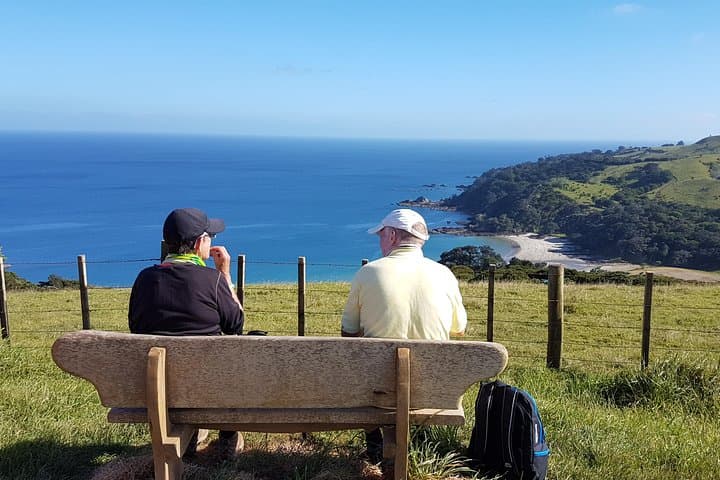 3-Day Waiheke Walking Holiday: Beaches, Vineyards & Coastal Tracks photo 4