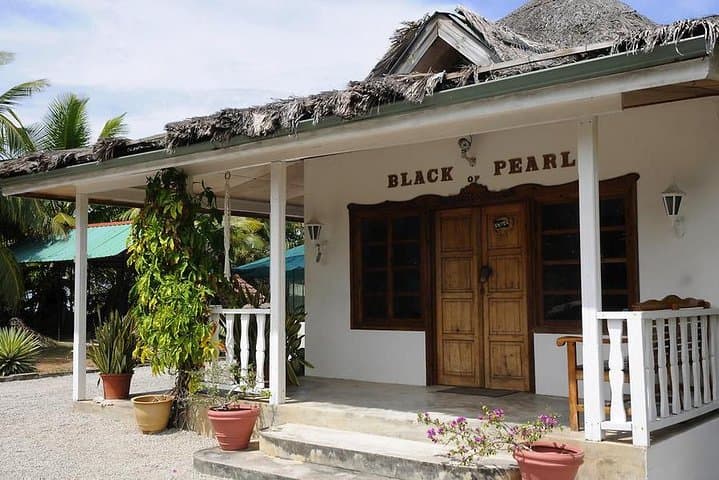 Palms and Pearls Full-Day Praslin Nature and Beach Tour photo 6