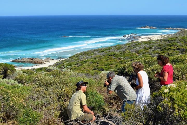 Margaret River Coastal & Wildlife Eco Trip — Busselton/Dunsborough Half-Day Tour photo 1
