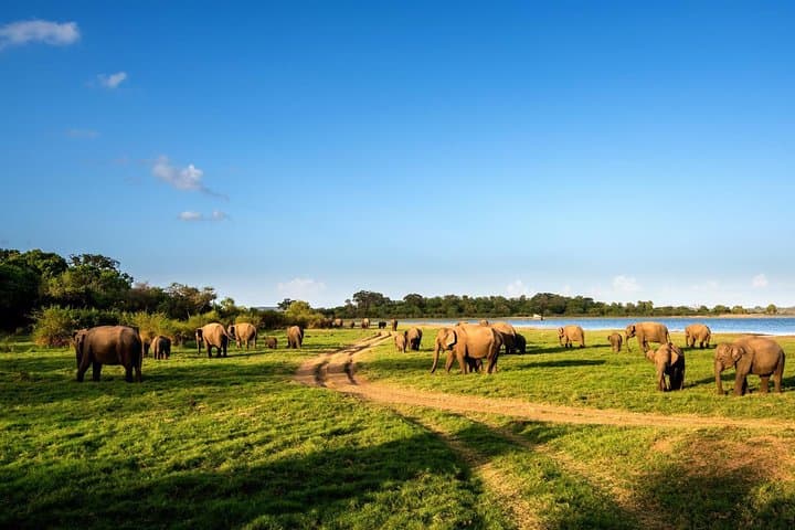 Discover the Timeless Treasures of Sri Lanka on a 15-Day Journey photo 1