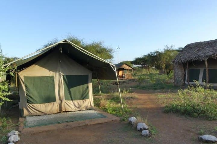 6-Day Best of Maasai Mara, Lake Nakuru & Amboseli Budget Safari photo 2