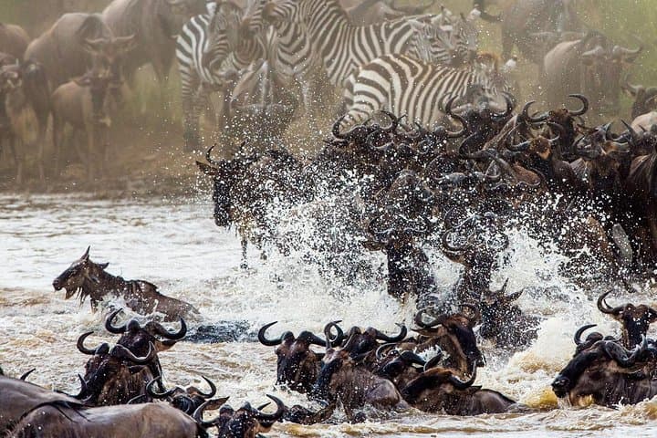 6-Day Kenya Camping Safari: Amboseli, Lake Nakuru & Masai Mara photo 4