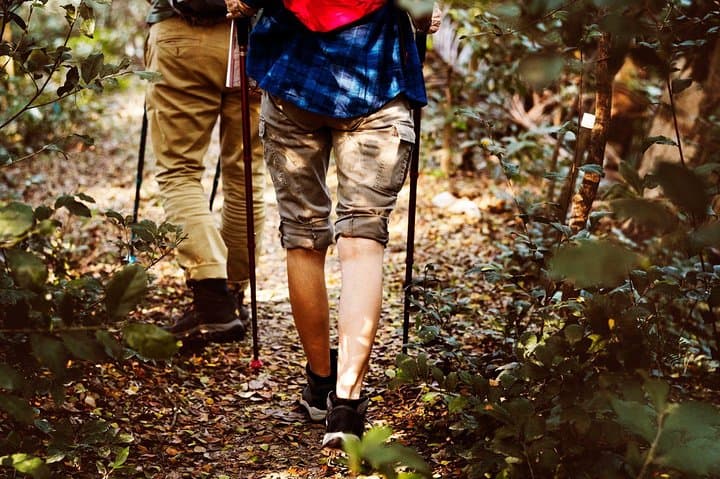 Jungle Trekking in Yala Buffer Zone: Day Trek from Hambantota Harbor