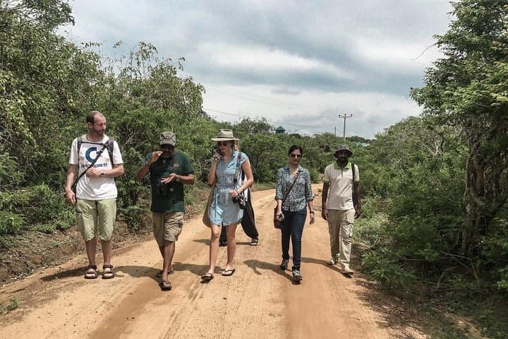 Jungle Trekking in Yala Buffer Zone: Day Trek from Hambantota Harbor photo 2