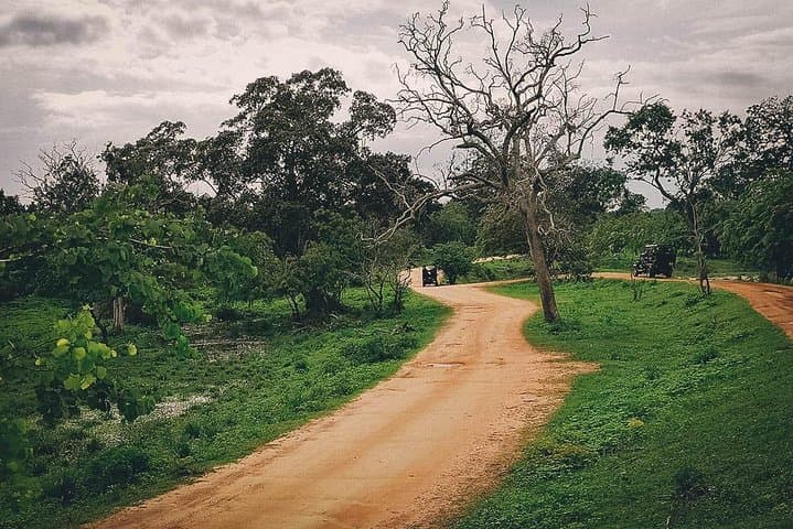 Jungle Trekking in Yala Buffer Zone: Day Trek from Hambantota Harbor photo 4