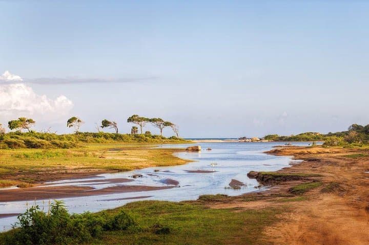 Jungle Trekking in Yala Buffer Zone: Day Trek from Hambantota Harbor photo 5