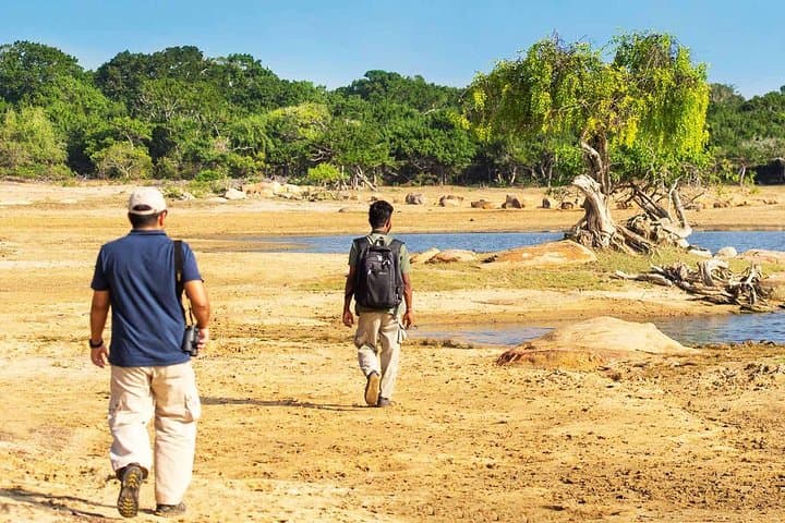 Jungle Trekking in Yala Buffer Zone: Day Trek from Hambantota Harbor photo 6