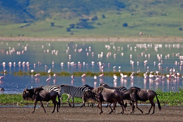 14-Day Kenya & Tanzania Camping Safari — Big Five, Serengeti & Ngorongoro photo 2