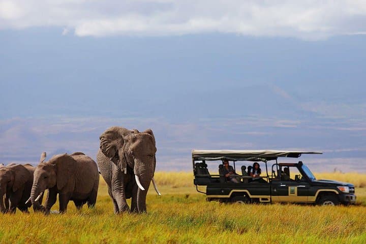 14-Day Kenya & Tanzania Camping Safari — Big Five, Serengeti & Ngorongoro photo 4