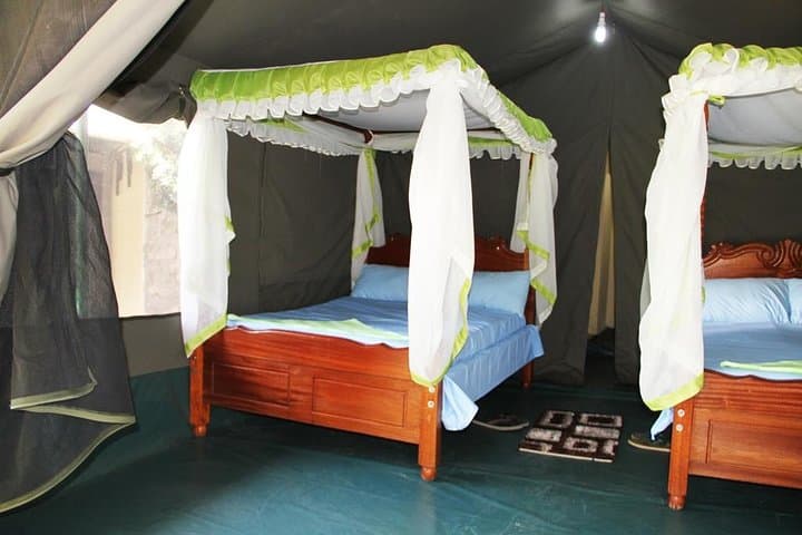 6-Day Budget Kenya Safari: Maasai Mara, Lake Nakuru & Amboseli photo 1