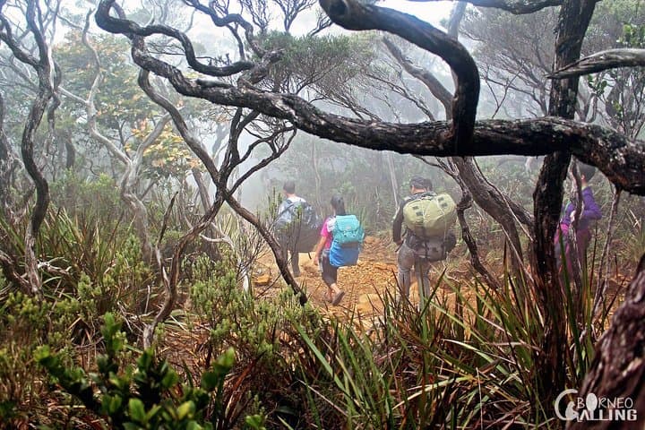 Walk the Torq: 2D1N Mount Kinabalu Via Ferrata Adventure photo 2
