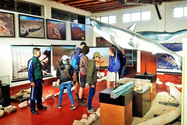 Los Perdidos Canyon Tour — Ica Desert Canyon, Fossils & Ocucaje Culture photo 6
