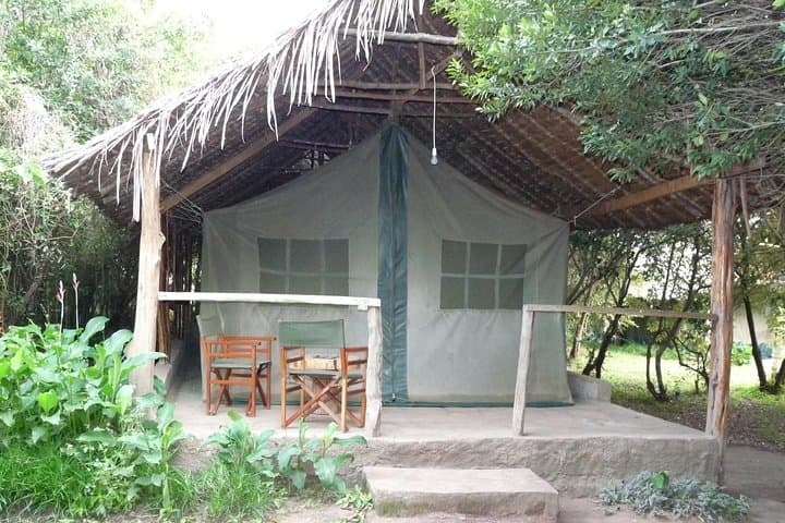 Two-Day Maasai Mara Safari Holiday: Big Cats, Wildebeest Migration & Camping