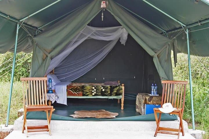 Budget 3-Day Maasai Mara Safari: Wildlife & Migration Highlights photo 2