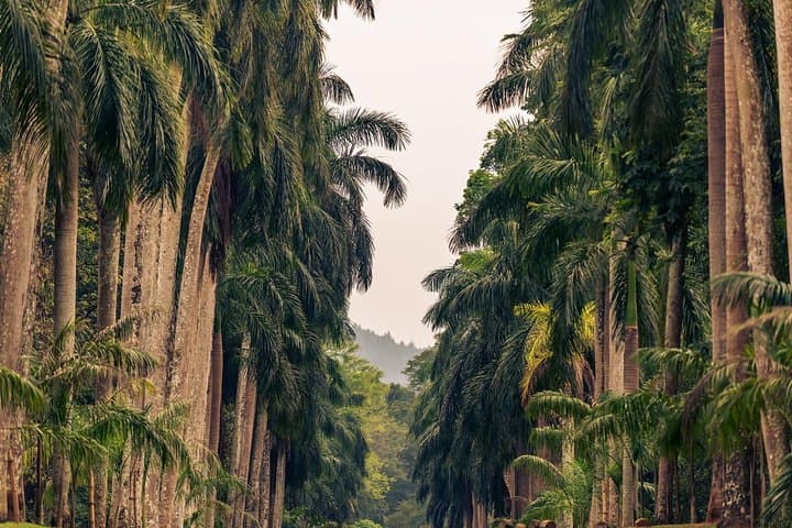 Unveiling Sri Lanka: A 15-Day Journey Through Hills, Heritage, and Coastlines photo 3