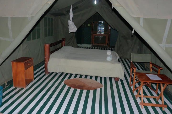 4-Day Wildlife Lodge Safari: Lake Nakuru & Masai Mara Big Five Experience