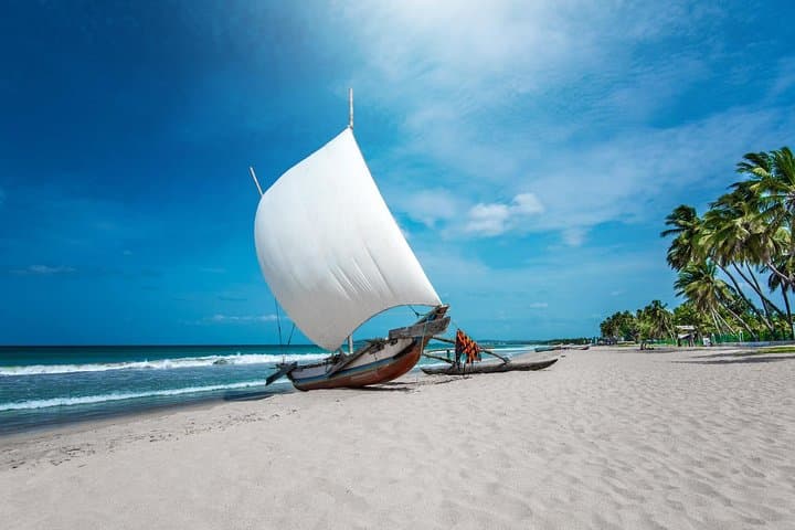 Relief and Relaxation: 15-Day Sri Lanka Cultural Circuit, Safaris & Horton Plains Hike photo 4