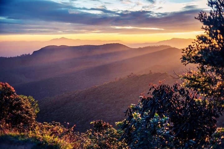 Relief and Relaxation: 15-Day Sri Lanka Cultural Circuit, Safaris & Horton Plains Hike photo 6