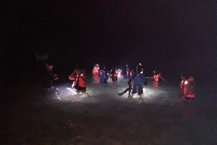 Night Snorkeling in Mirissa: See the Southern Reef After Dark photo 2