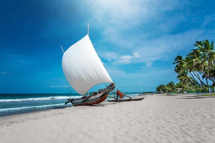 serendipity-trail-sri-lanka-15-day-cultural-and-wildlife-adventure photo 4