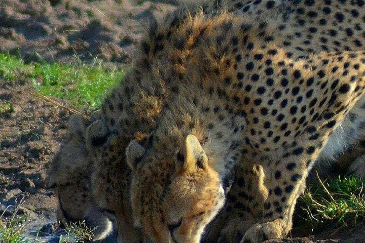 Private 3-Day Tsavo East Safari from Mombasa or Diani Beach