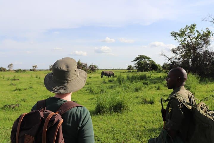 Ziwa Rhino Sanctuary Trek — One-Day Rhino Walk from Kampala