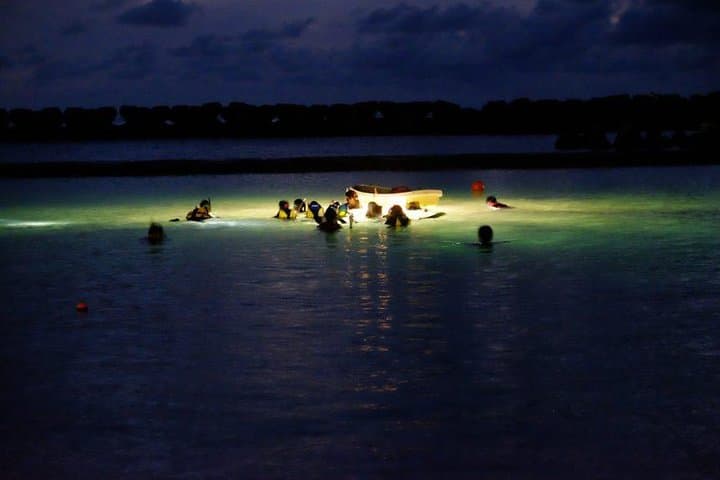 Night Snorkeling in Mirissa: See the Southern Reef After Dark