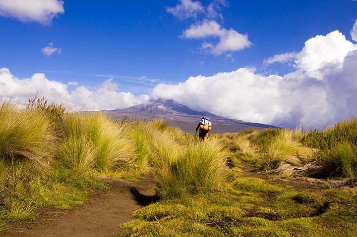4-Day Mount Kenya Trek via Sirimon Route — Point Lenana Sunrise
