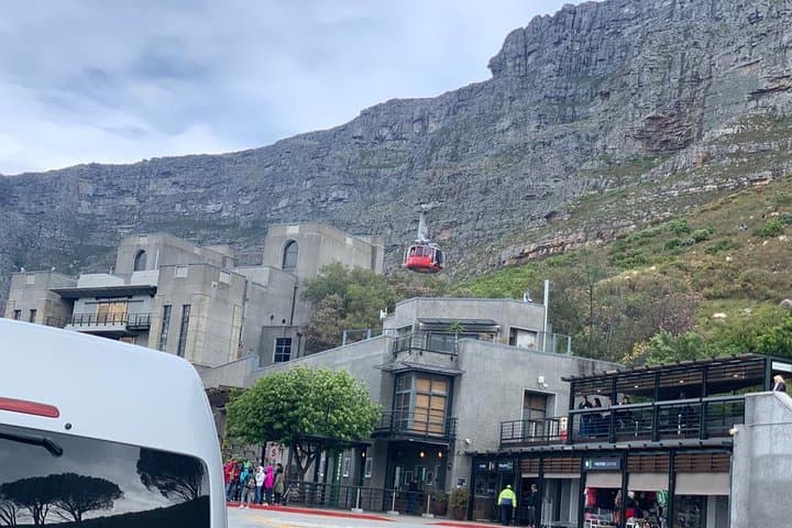 Cape Point, Penguins & Table Mountain: Private Full-Day Tour from Cape Town photo 6
