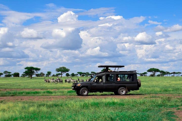 2-Day Serengeti Safari From Mwanza: Sunrise Game Drives & Camping photo 3