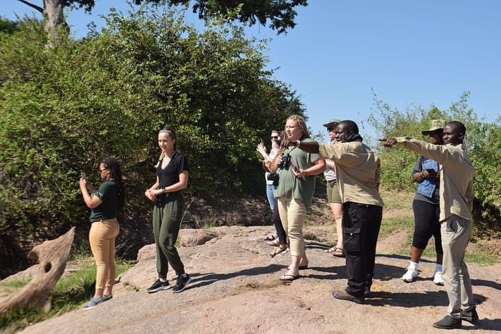 2-Day Serengeti Safari From Mwanza: Sunrise Game Drives & Camping photo 6