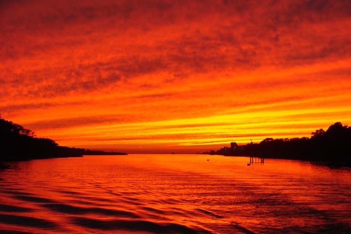 Sunset Dinner Cruise & Dolphin Watching from Cape May: A Two-Hour Bay Adventure