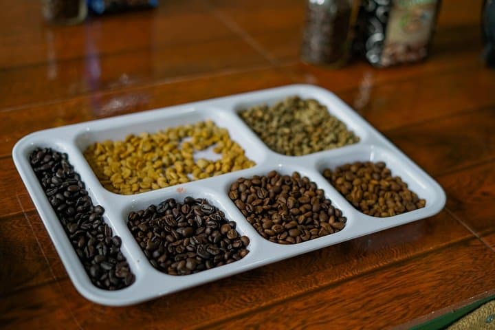 Bean-to-Bar Coffee and Chocolate Tour in La Fortuna photo 6