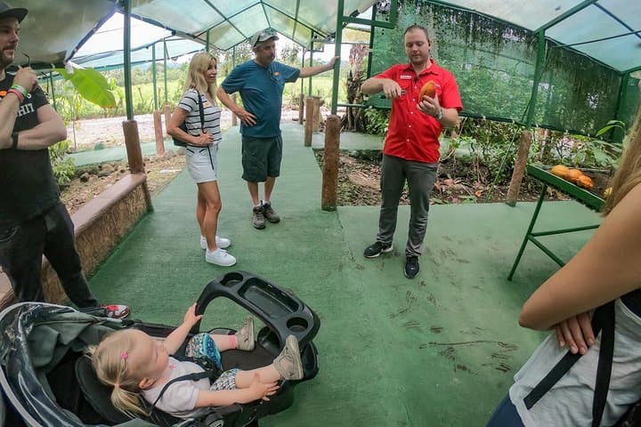 Bean-to-Bar Coffee and Chocolate Tour in La Fortuna