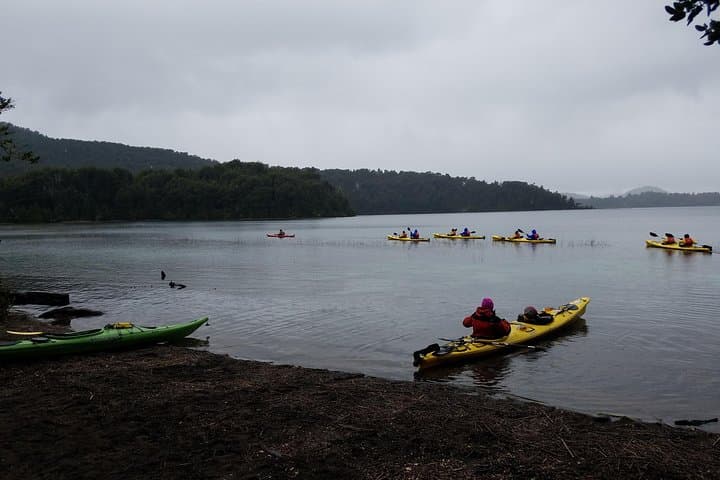 Full-Day Private Kayak to Moreno Lake — Guided Bariloche Kayaking Experience photo 3