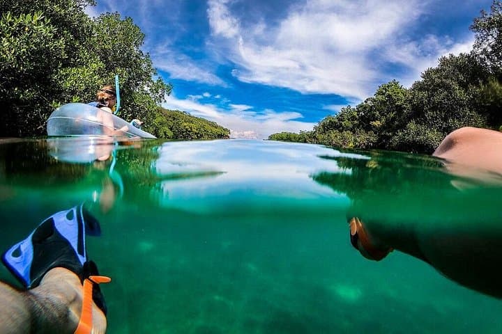 Xel-Há Park: All-Inclusive Snorkeling, Cenotes & Scenic Lighthouse in the Riviera Maya photo 3