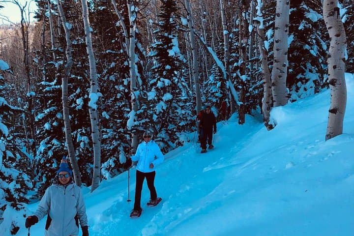 Private Park City Snowshoe Excursions — 2-Hour Guided Tours from Downtown photo 4