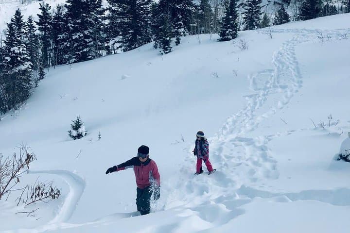 Private Park City Snowshoe Excursions — 2-Hour Guided Tours from Downtown photo 5