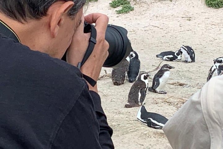 Cape Town Private Tour: Table Mountain, Penguins & Cape Point Day Trip photo 5