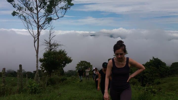 Reinita Cielo Azul Reserve Hike: Birding the Colonial Path Near San Vicente photo 3