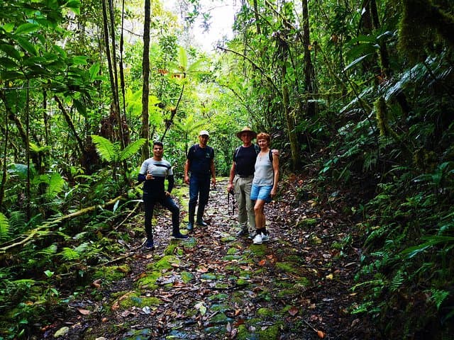 Reinita Cielo Azul Reserve Hike: Birding the Colonial Path Near San Vicente photo 6