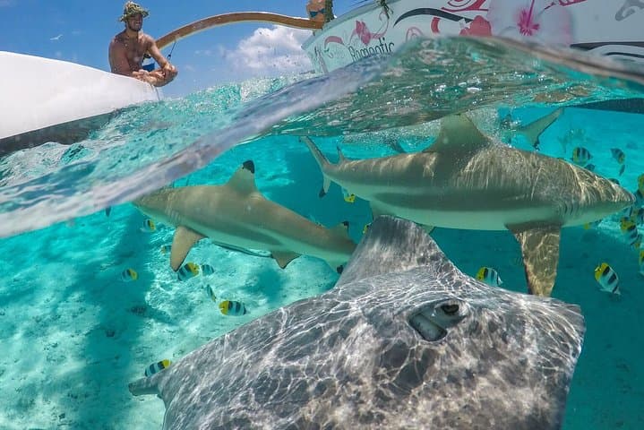 Bora Bora Lagoon Snorkel Cruise: Polynesian Outrigger & BBQ Motu Lunch photo 2