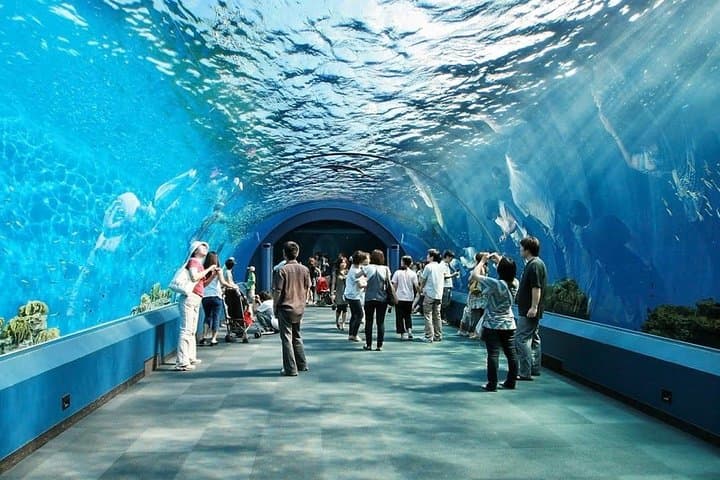 Underwater World Pattaya: What to Expect at Thailand's Modern Aquarium photo 2