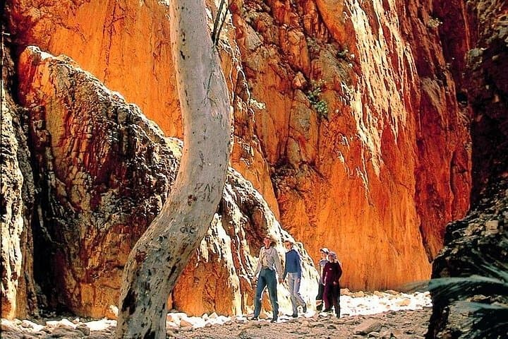 West MacDonnell Ranges Day Trip from Alice Springs — Simpsons Gap to Ellery Creek photo 4