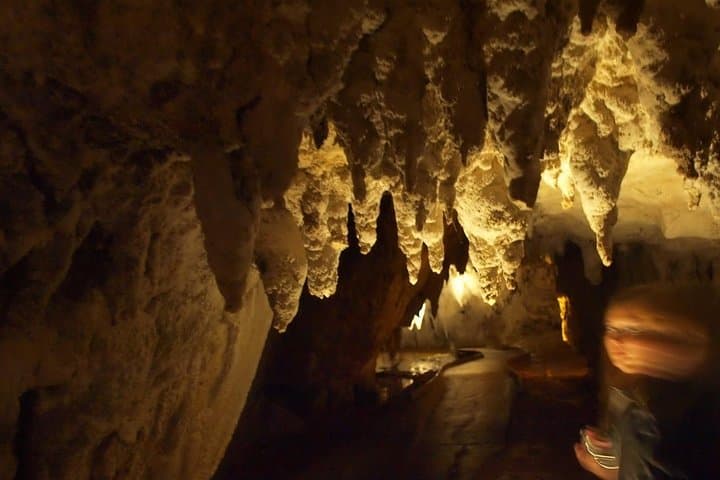 Waitomo Glowworm Caves Private Small-Group Tour from Auckland photo 2