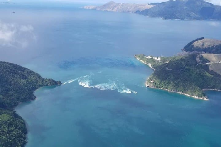 Queen Charlotte Water & Wilderness Scenic Flight from Picton photo 4
