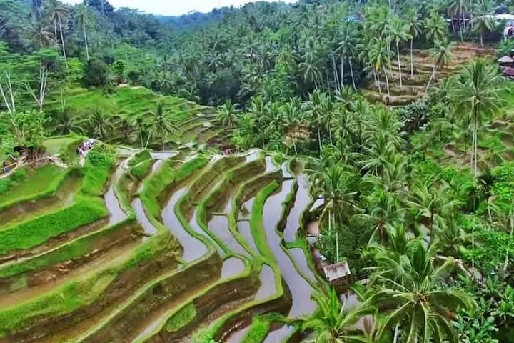 2-Day Bali Highlights: Ubud, Kintamani & Tanah Lot Private Tour photo 2