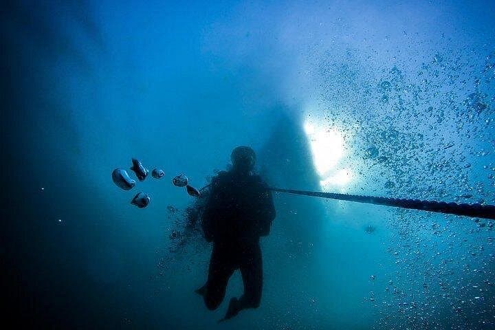 Nilaveli Fun Dives: Reef, Wreck & Night Dives off Pigeon Island photo 3