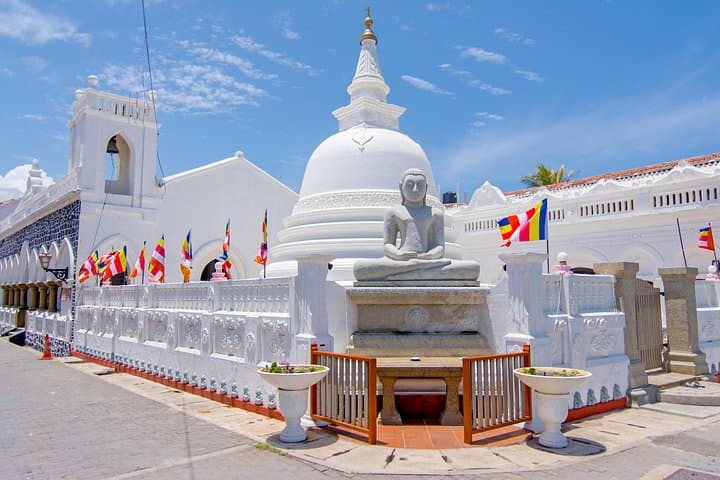 Galle to Yala in 48 Hours: Mangroves, Forts & Leopard Safaris from Colombo photo 1